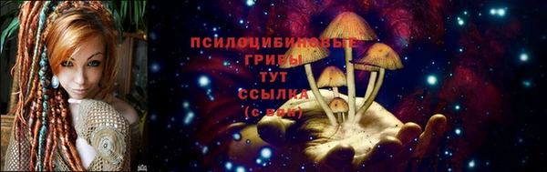а пвп мука Балабаново