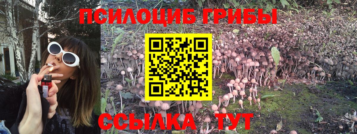 Каспийск  Галлюциногенные грибы MAGIC MUSHROOMS  Вход с VPN 
